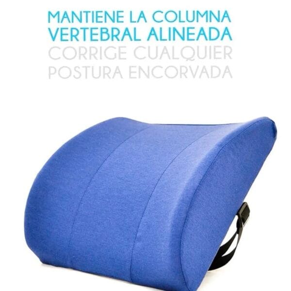 Cojín Contorneado de Espalda