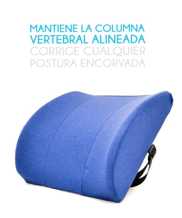 Cojincontorneadodeespalda.jpg Cojín Contorneado de Espalda