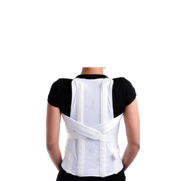Faja dorso lumbar